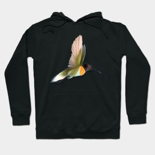 Colorful Colibri Hoodie